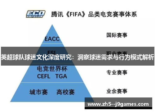 英超球队球迷文化深度研究：洞察球迷需求与行为模式解析