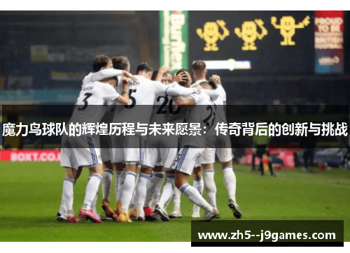 魔力鸟球队的辉煌历程与未来愿景：传奇背后的创新与挑战